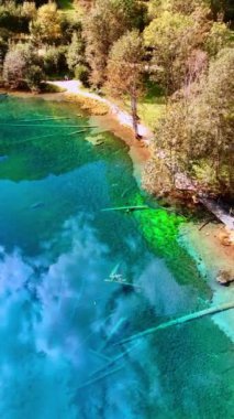 Gök mavisi gölde temiz suyla birlikte ölü ağaç gövdeleri yatıyor. Güzel Christlessee Gölü 'nün manzarası, Oberstdorf, Bavyera Alpleri, Avrupa. Dikey video.