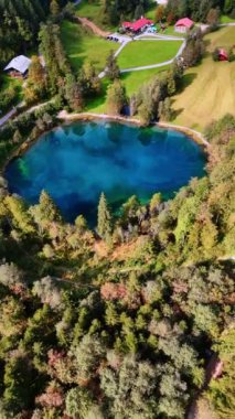 Güzel Christlessee Gölü 'ne yakın uçuyor, etrafı çam ağaçları ve bazı evleri olan pitoresk vadilerle çevrili. Oberstdorf manzarası, Bavyera Alpleri, Avrupa. Dikey video.