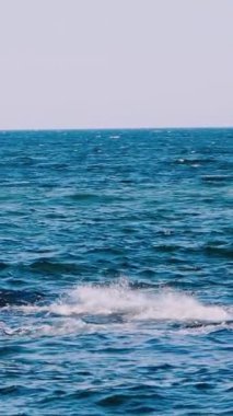 Mavi deniz suyunun muhteşem manzarası. Dalgalar iskelede hareket ediyor ve kırılıyor. Doğanın güzel deniz manzarası gündüz vakti. Dikey video
