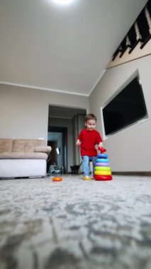 Mutlu, beyaz bir çocuk oyuncak piramidine koşar ve yerde durur. Evde oynayan çocuğa düşük açılı bakış açısı. Kara kedi odaya giriyor. Dikey video.