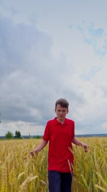 Gençler dışarıda özgürlüğün tadını çıkarırlar. Mutlu çocuk tarımsal bitkiler arasında sarı alanda yürüyor ve koşuyor. Kırsal kesimde mutlu bir çocukluk. Dikey video