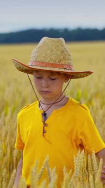 Küçük çiftçinin portresi. Sarı tarlada hasır şapkalı bir çocuk. Sarı tişörtlü şirin çocuk yaz aylarında tarım arazisindeki dikenlere dokunuyor. Dikey video