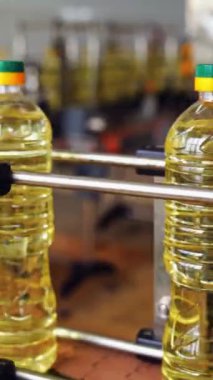 Modern doğal petrol fabrikasının içi. Ayçiçeği yağını plastik konteynır içine şişelemek Dikey video