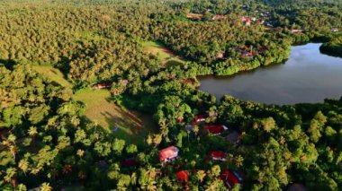 Kırmızı çatıları olan kulübeler tropikal ormanın yeşil manzarasından göze çarpar. Güney Asya, Sri Lanka 'da nehir kıyısındaki bir köye yaklaşıyoruz. Üst görünüm.