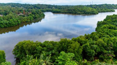 Gündüz vakti Sri Lanka 'daki yemyeşil nehir manzarası. Sri Lanka 'da yemyeşil bir nehir, açık gökyüzünü yansıtır ve tropikal bitkilerle çevrilidir..