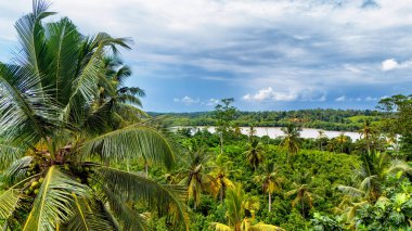 Sri Lanka 'da yemyeşil ve sakin bir nehir. Tropikal ağaçların nefes kesici manzarası ve Sri Lanka 'da sakin bir nehir. Parlak gökyüzünün altında doğanın güzelliğini gösteriyor..