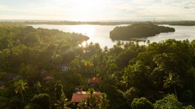 Sri Lanka 'nın yemyeşil nehir kıyısında gün doğumu. Altın gündoğumu, Sri Lanka 'daki yemyeşil ağaçların ve sakin suların üzerine sıcacık bir parıltı saçarak doğanın dingin güzelliğini gözler önüne seriyor..