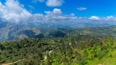 Sri Lanka 'daki yemyeşil tepeler. Sri Lanka 'nın dağlık bölgesi boyunca uzanan yemyeşil tepeler ve vadiler parlak bir gökyüzünün altında güzel bir manzarayı gözler önüne seriyor..
