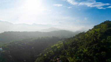 Sri Lanka 'nın yemyeşil tepeleri parlak bir gökyüzünün altında. Sri Lanka 'nın yuvarlanan tepelerinin güneş ışığıyla yıkanmış ve açık mavi gökyüzü tarafından kucaklanmış çarpıcı güzelliğini deneyimleyin..