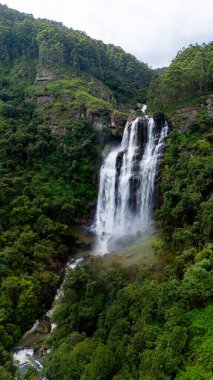 Lush Sri Lanka 'nın görkemli şelalesi. Sersemletici bir şelale Sri Lanka 'daki canlı yeşilliklerin içinden akar ve doğanın güzelliği arasında sakin bir atmosfer yaratır..