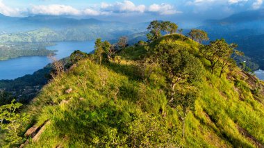 Sri Lanka 'nın sakin sulardaki yemyeşil tepeleri. Sri Lanka 'nın pitoresk tepeleri dingin göllerin üzerinde yükseliyor, canlı yeşil renklerle doğanın nefes kesici manzarasını sunuyor..