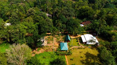 Sri Lanka 'nın bereketli kırsalında sakin bir manzara. Sri Lanka 'da yeşil manzaralar, tropikal bitki örtüsü ve doğanın ortasında dağınık evler içeren barışçıl bir kırsal alan manzarası..