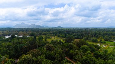 Sri Lanka 'nın yemyeşil yeşilliği yumuşak güneş ışığıyla yıkandı. Sri Lanka 'nın engin yeşilliğinin nefes kesen manzarası, arka planda tepeler ve bulutlu bir gökyüzünün altında canlı bir manzara..