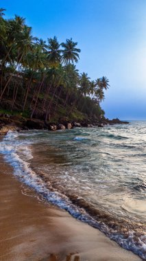 Sri Lanka 'da palmiyeli günbatımı plajı. Dalgalar, Sri Lanka 'da sakin bir günbatımında rüzgarda sallanan palmiye ağaçları gibi kumlu kıyılarda yavaşça dolaşır..