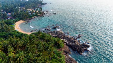 Sri Lanka 'daki palmiye püsküllü sahil manzarası. Sri Lanka 'nın sakin bir kıyı bölgesinde bereketli palmiye ağaçları ve berrak mavi sularla çevrili güzel kumlu bir sahil sergileniyor..
