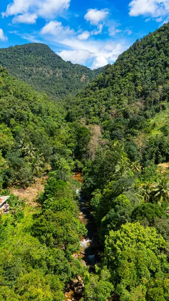 Sri Lanka 'nın yemyeşil dağları ve nehri. Güneşli bir günde Sri Lanka dağlarından akan canlı yeşilliğin ve yumuşak bir nehrin nefes kesici manzarası..