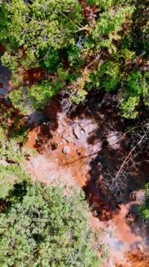 Kayalık arazinin aktığı sığ nehirden aşağı iniyor. İnsan berrak suda rahatça yatar. Dikey video.