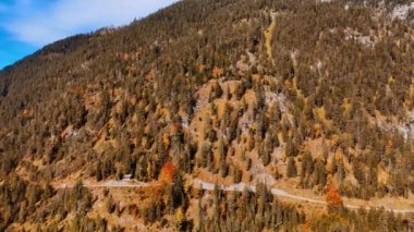 Çam ağaçlarıyla kaplı yüksek kayalara yaklaşıyorlar. Alplerde sonbahar güneşli bir gün. Plansee Gölü arka planda. Hava görünümü.