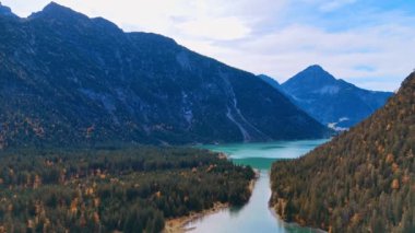Çam ağacı ormanının üzerinden uçmak güzel gölün etrafında turkuaz suyla büyüyor. Tyrol, Avusturya 'daki Plansee Gölü' nün manzarası Alplerle çevrili..