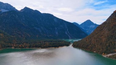 Güzel bir gölü çevreleyen çam ağacı ormanlarıyla kaplı muhteşem dağlar. Plansee Gölü, Reutte Bölgesi, Tyrol, Avusturya.