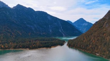 Güzel gölü olan Alpler 'in göz kamaştırıcı manzarası. Plansee Gölü, Tyrol, Avusturya çevresinde çam ağaçları yetişir. Hava perspektifi.