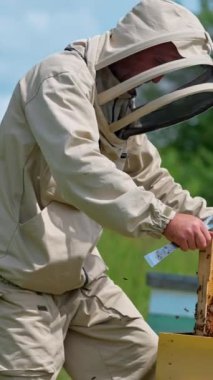 Arı çiftçisi dikkatli bir şekilde tüm çerçeveyi kovanına yerleştirir ve arılardan yavaşça kurtulur. Adam boş balmumu çerçeveyi alıyor ve böceklerden kurtulmak için fırça kullanıyor. Dikey video