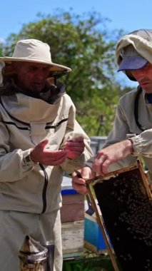 Yaşlı arıcılar propolis 'i çerçevelerden topluyor. Arı çiftçileri yaz mevsiminde kırsal alanda çalışıyor. Arka plan bulanık. Dikey video