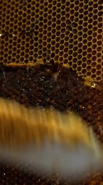 Elektrikli bıçak bal taraklarından kolayca kayıyor. İnsan, bal çıkarmak için mühürlü balmumu hücrelerini makinede daha kolay açığa çıkarır. Kapatın. Dikey video