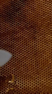 Tanınmayan bir adamın elindeki tahta çerçevelerde kahverengi bal petekleri. Arıcı tarakları kesmek için bıçak kullanır. Kapatın. Dikey video