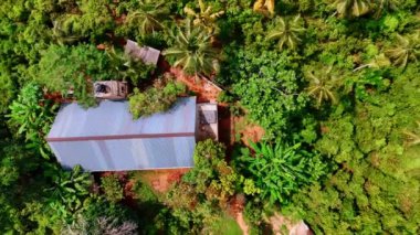 Palmiye ağaçlarıyla çevrili bir kulübenin çatısından yükseliyor. Sri Lanka 'da ikamet yeri.