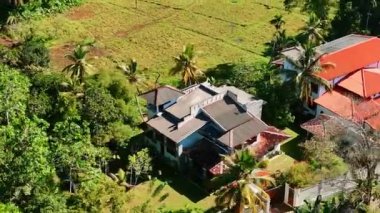 Palmiye ağaçlarının arasında iki kulübe. Tarım tarlaları evlerin önünde. Sri Lanka. Hava görünümü.