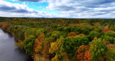 Suyun üzerinde uçarak renkli ormana yaklaşıyorlar. Sonbaharda bulutlu bir günde renkli bir orman..