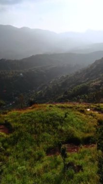 Dağların üzerinden uçup yeşil çimenler ve ağaçlarla kaplanıyorlar. Sri Lanka 'nın güneşli dağlık manzarası. Hava görüntüsü. Dikey video.