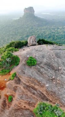 Bazı insanlar ender ağaçlarla çıplak yuvarlak kaya tepesinin yanından geçer. Sri Lanka 'daki Pidurangala Kayası' na hava perspektifi. Arkaplanda ünlü Sigirya. Dikey video.