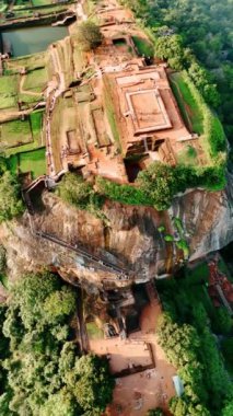 Sigirya harabeleri yemyeşil ile çevrili. İnsanlar Sri Lanka 'nın ünlü simgesinin yanından geçiyor. Üst Manzara. Dikey video.