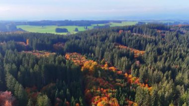 Çam ağacı yeşili ağaçlarla kaplı kayalık bir arazi. Renkli kısımları da var. Doğada güneşli Avrupa manzaraları. Üst görünüm.