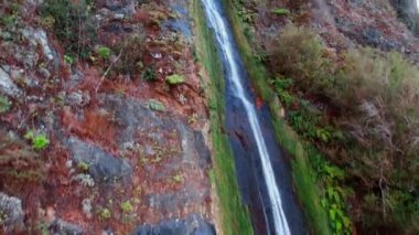 Uzun ince şelale büyük yüksek kayaların yanından akıyor. Portekiz 'in Madeira dağlarında Lichenlar, yosunlar ve çalılar yetişir..