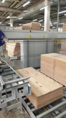 Döşeme imalatı, parke işleme. Modern fabrika ekipmanları. Endüstriyel fabrikada çalışan robotlar. Dikey video