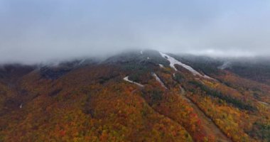 Vermont, New England, ABD 'deki dağı kaplayan sonbahar ormanları. Zirveyi gizleyen yoğun sis. Hava görünümü.