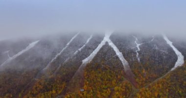Vermont Dağları, New England, ABD yoğun sisle kaplı. Sonbaharda bir kayanın yarısı renkli ağaçlarla kaplıdır. Hava görünümü.