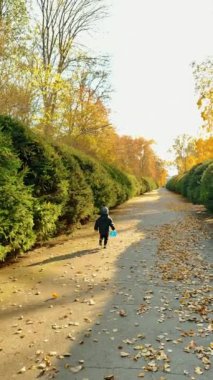 Sokakta koşan küçük bir çocuğu takip ediyorum. Sıcak giysiler içinde küçük bir çocuk ve elinde mavi bir kova, sonbaharda parkta aktif vakit geçiriyor. Dikey video.