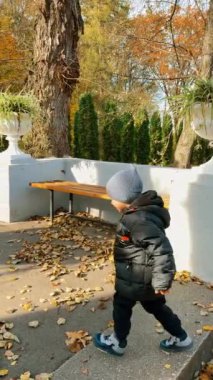 Kafkasyalı çocuk şapkalı ve siyah ceketli parkta yürüyor. Güneşli bir sonbahar gününde yürüyüş yapan bir bebek. Dikey video.