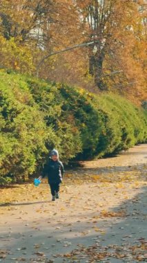 Şapkalı ve siyah ceketli mutlu çocuk sonbahar parkında daireler çiziyor. Elinde kova olan sevimli bebek kameraya gülümsüyor. Dikey video.