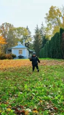 Sıcak bir ceket giymiş, gülümseyen beyaz bir bebek elinde yapraklarla koşuyor. Küçük çocuk parkta sonbaharın tadını çıkarıyor. Dikey video.