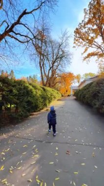 Parkta koşan mutlu bir çocuğu takip ediyorum. Aktif bebek sonbaharda dışarıda eğleniyor. Dikey video.