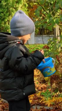 Şapkalı ve ceketli gülümseyen bebek elinde mavi bir kova tutuyor. Küçük bebek kestane topluyor. Dikey video.