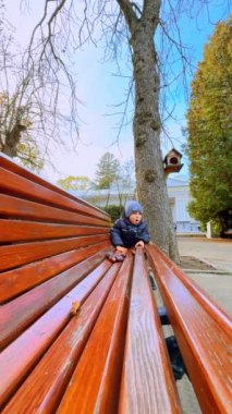Beyaz çocuk, sonbaharda parktaki ahşap bankın üzerinde duruyor. Küçük çocuk toplanmış kestane yığınına bakıyor. Dikey video.