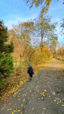 Küçük çocuk sonbaharda ara sokakta yürür. Küçük çocuk yere düşen yaprakları tekmeliyor. Dikey video.