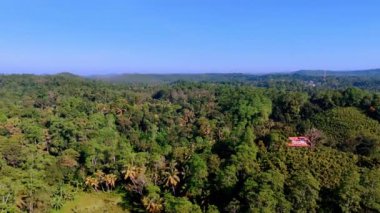 Güneşli bir günde güzel Sri Lanka 'nın tropik ormanları. Kalın ormanlara hava perspektifi ve aralarında kır evleri de var..