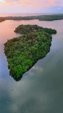 Sakin nehrin arasında küçük, güzel yeşil adalar. Gün batımında Sri Lanka 'nın havadan manzarası. Dikey video.